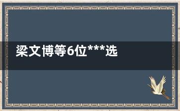 梁文博等6位***选手遭***台联禁赛 希望丁***不会也有问题